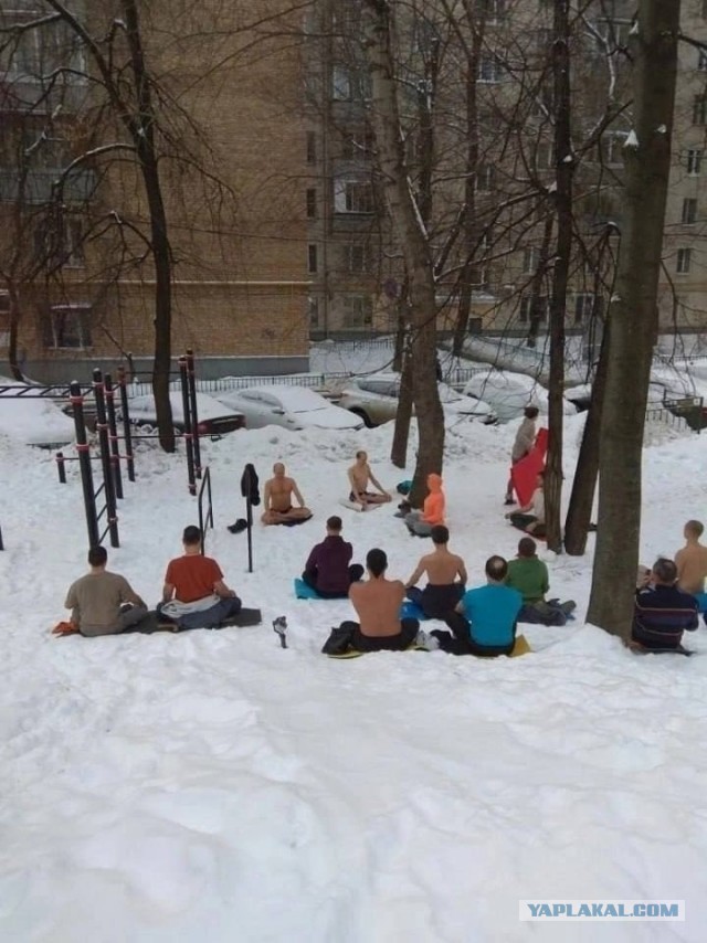 Ну началось