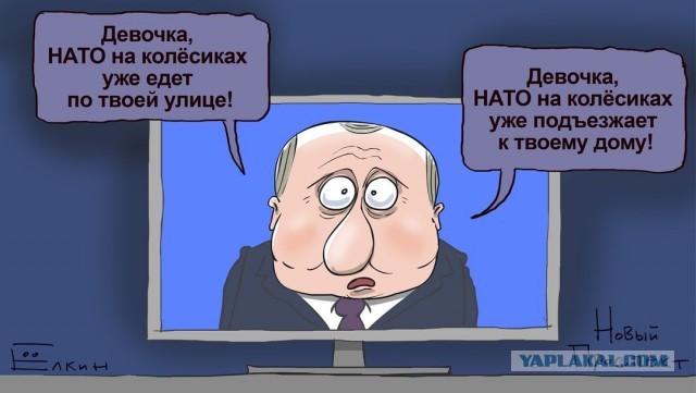 Япония применила термин «незаконная оккупация» к российским Южным Курилам