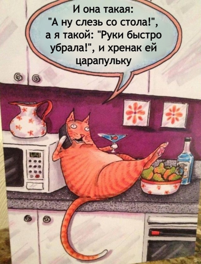 Так себе картинки 18.02.23