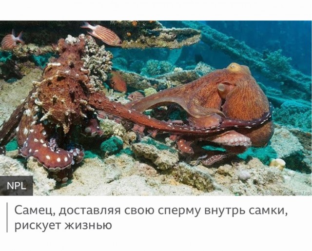 Про комплименты мужикам