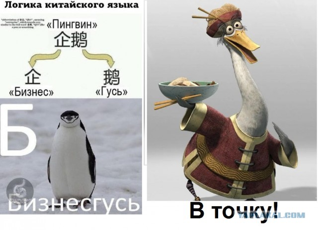 Народная меДИЧина 3018