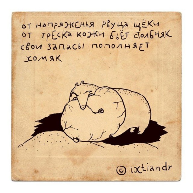 Вместительный хомяк