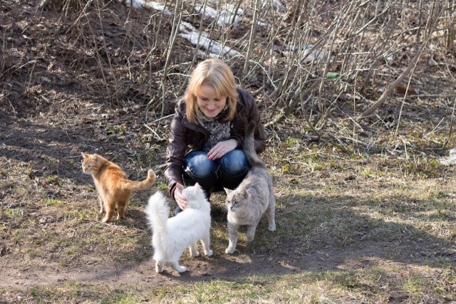 Котовторник 16.04.2013