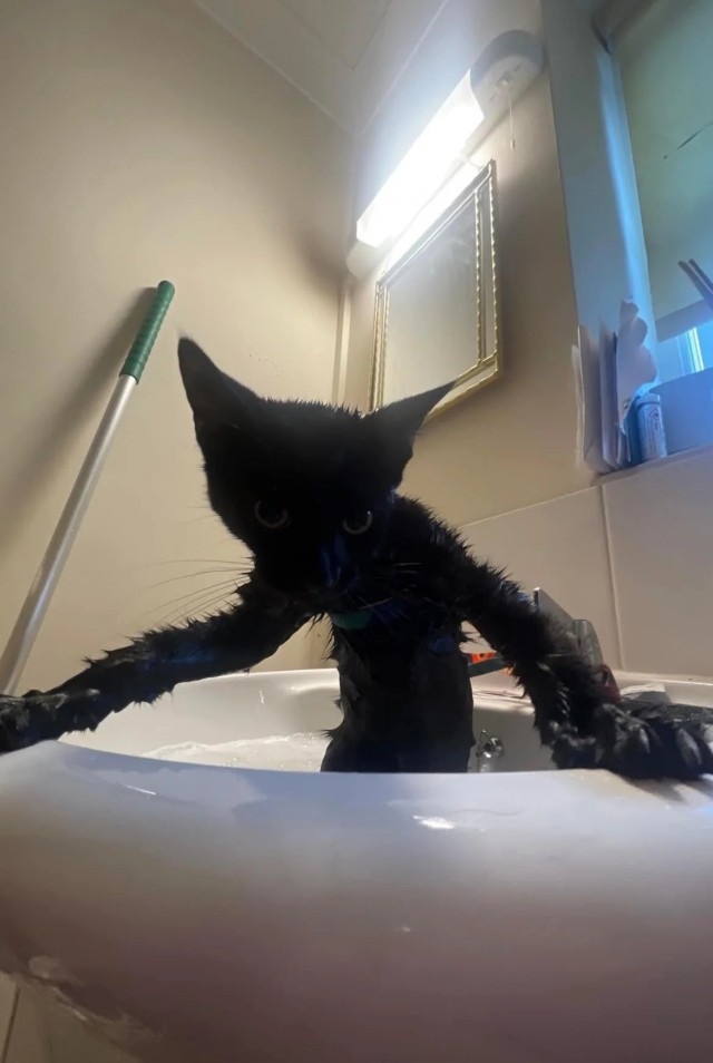 Ну здравствуй, дружок