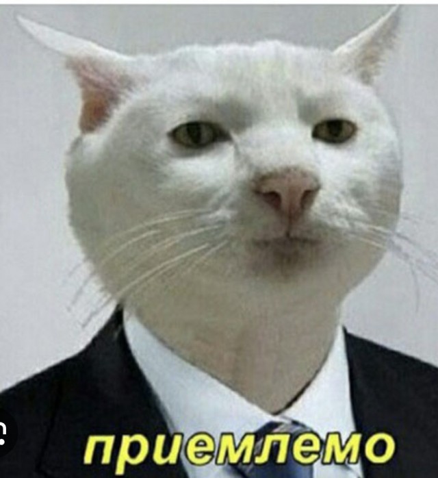 Уезжая надолго из квартиры, не забудьте затянуть унитаз пищевой пленкой