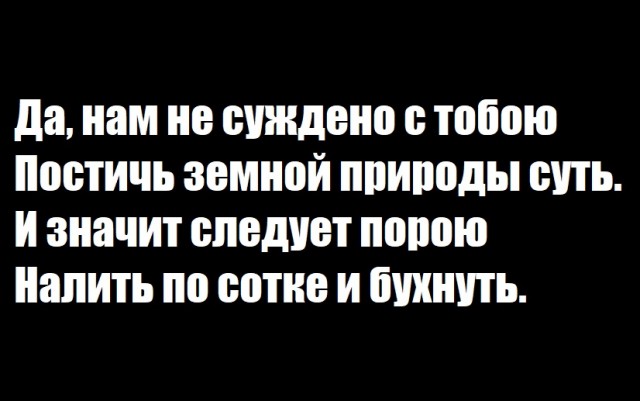 Весёлый полтишок 22.10.23
