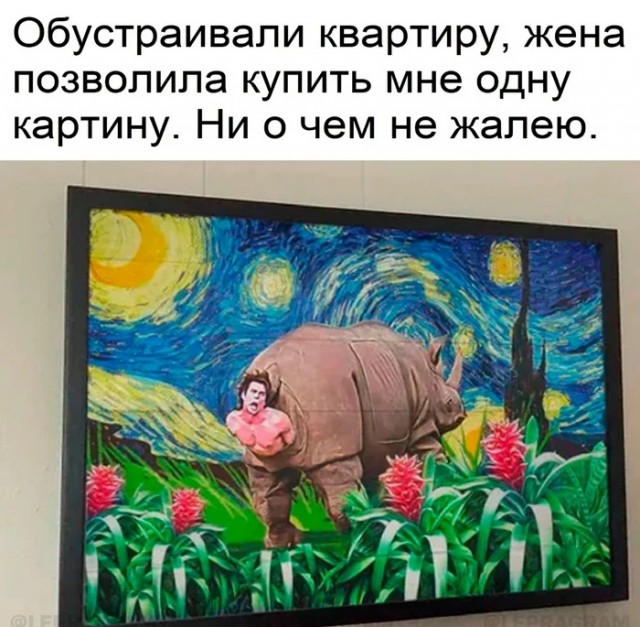 Картинки из Дристоля