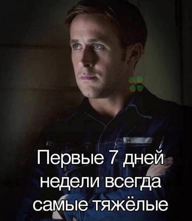 18585580.jpg