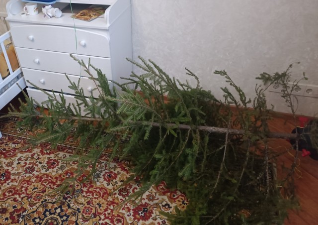 Показываем свои деревья