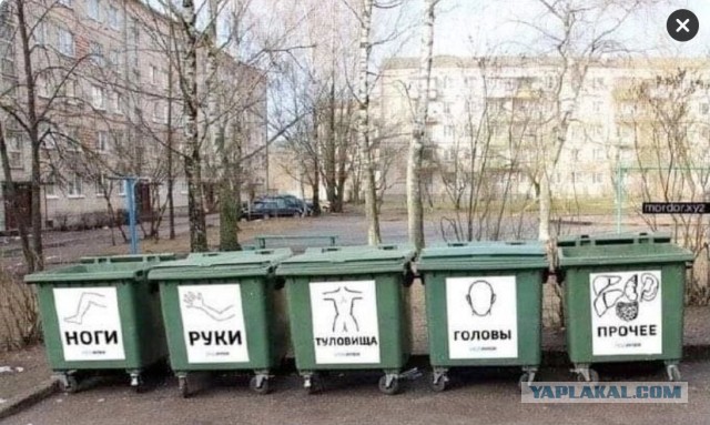 Под Петербургом нашли сумку с частями тела