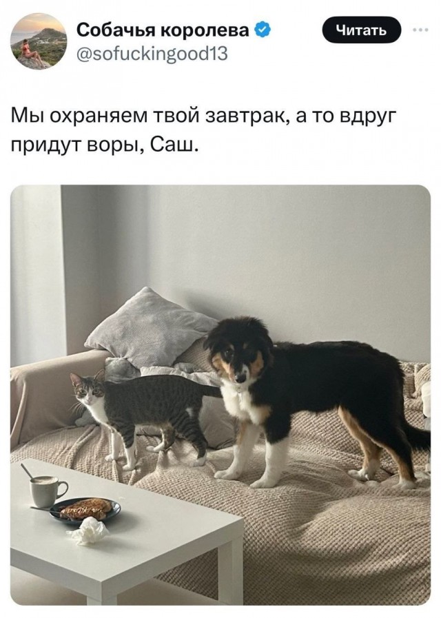 Завалялось тут случайно немного забавных картинок
