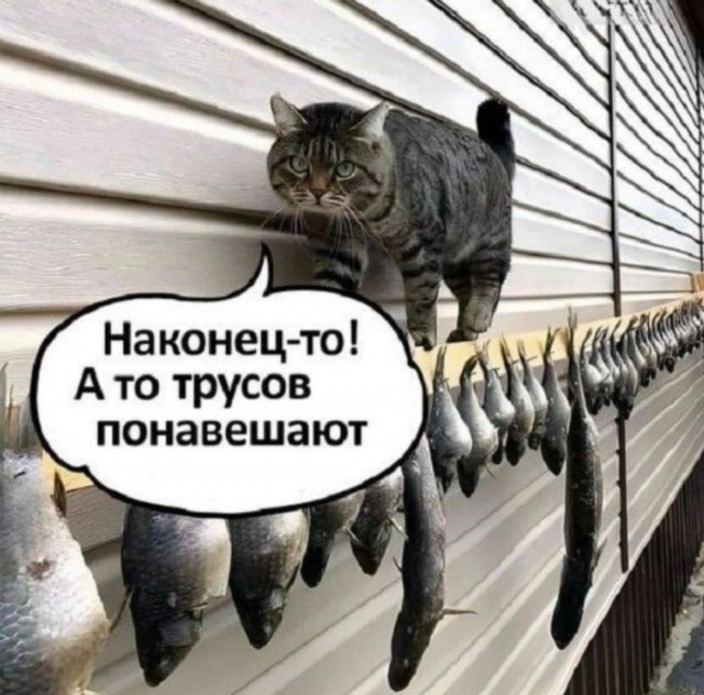 Завалялось тут случайно немного забавных картинок