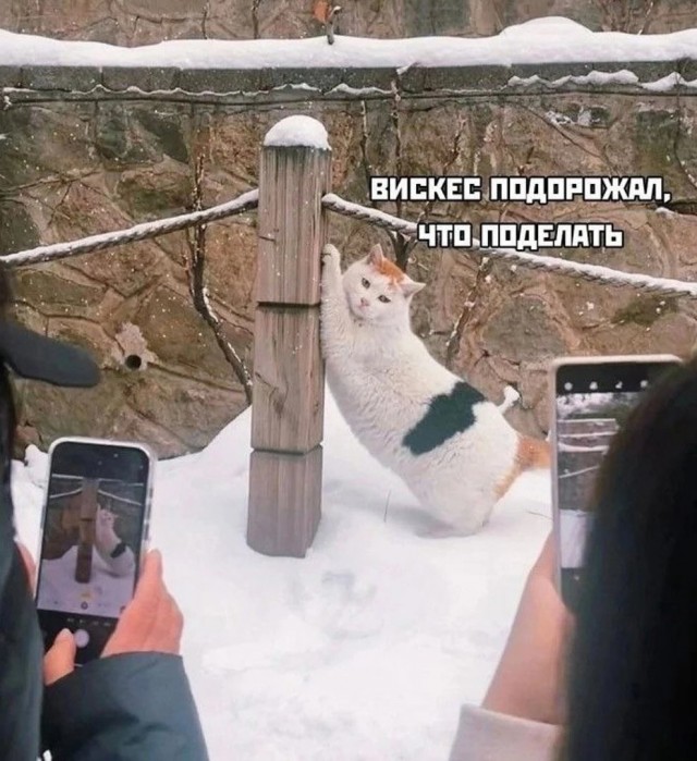 Завалялось тут случайно немного забавных картинок