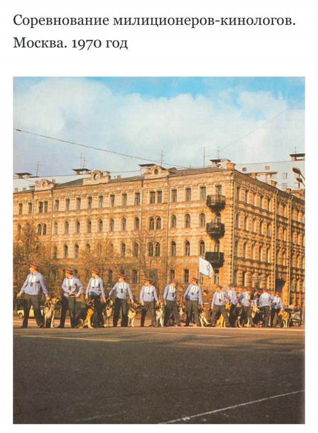 «Моя милиция меня бережет»