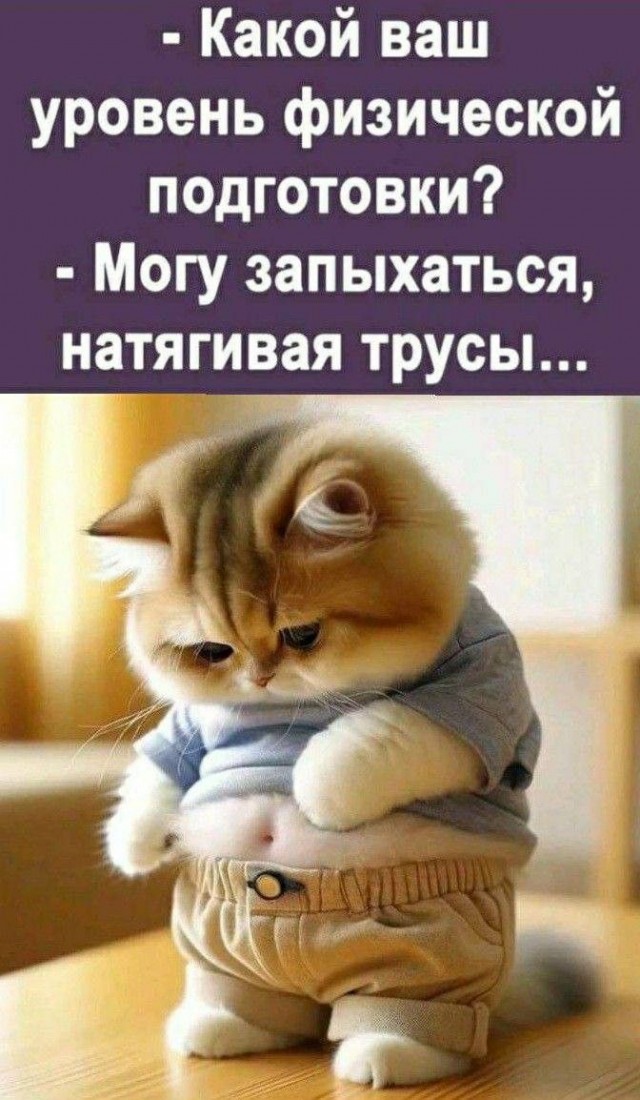 Картинки выходного дня
