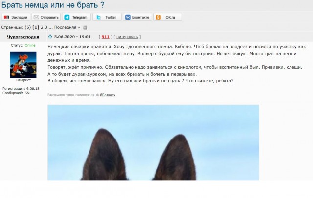 Достали соседские псы