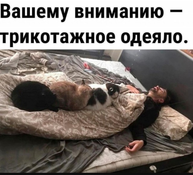 Так себе картинки 09.07.25