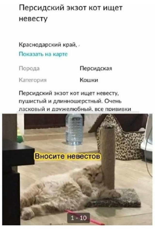 Так себе картинки 25.07.25