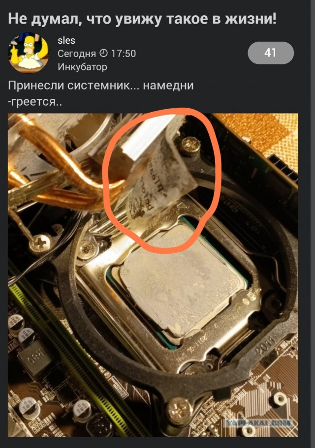 Не думал, что увижу такое в жизни!