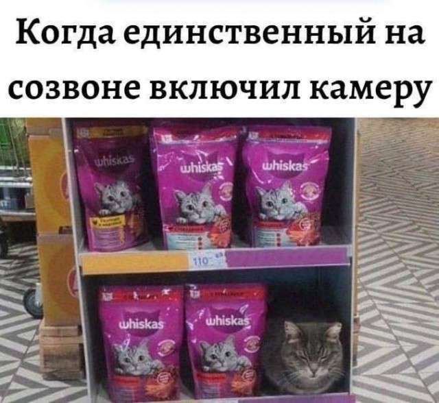 Картинки для деградации 49 (разной степени свежести)