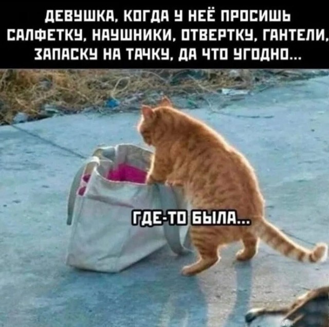 Маленькая пятница 22.10