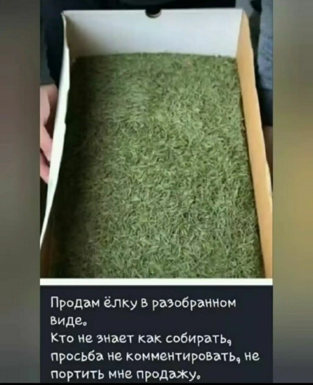Понеслась...