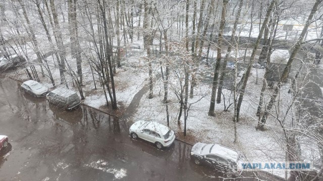 В Москве выпал первый снег. Фоторепортаж