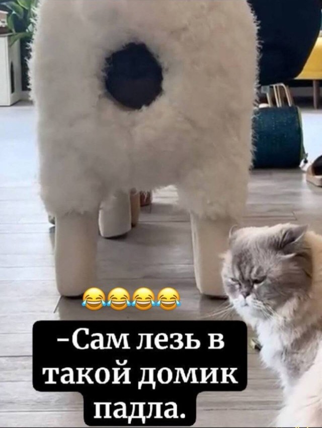 Разной свежести картинки