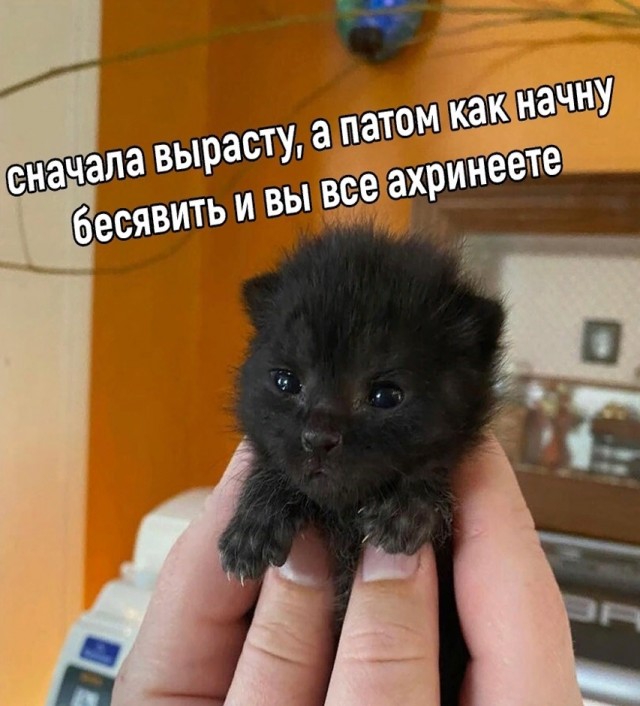 Так себе картинки 05.12.25
