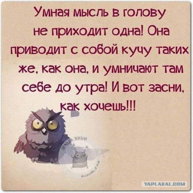 Встретьте год лошади правильно: что обязательно должно быть на новогоднем столе