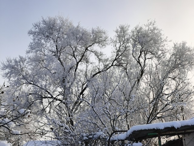 Зимняя дорога