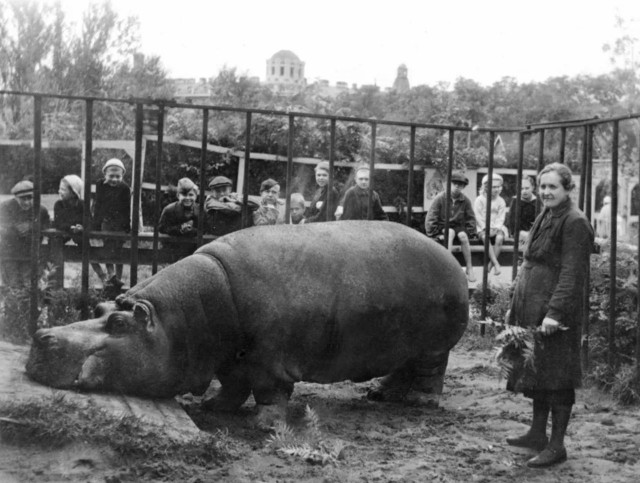 Фильм,, Красавица "