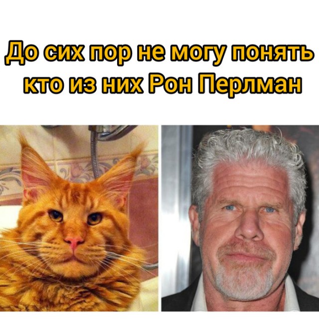 Новый тренд ИИ