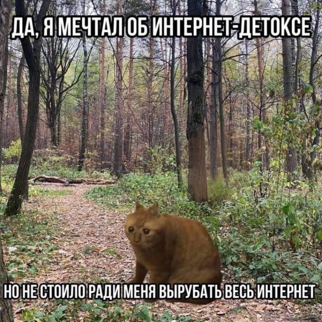 Субботние картинки
