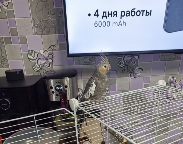 Измеряем в попугаях