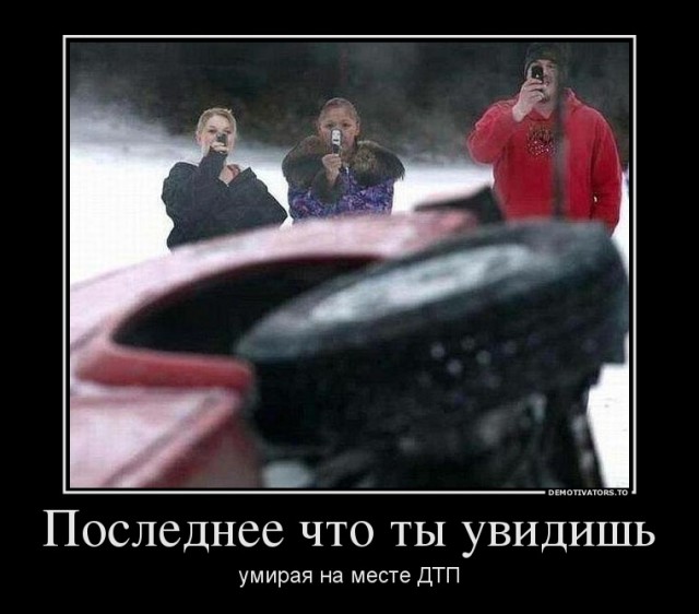 Злые дети «поиграли» с котятами