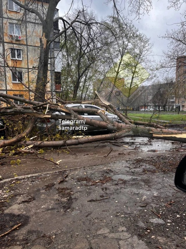 Рухнувшее дерево убило ребёнка в Самаре