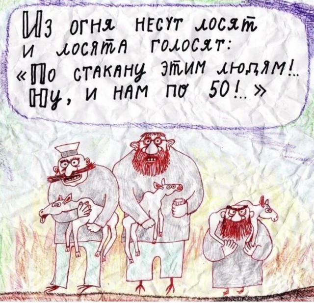 Спасённые лосята впервые вышли на прогулку