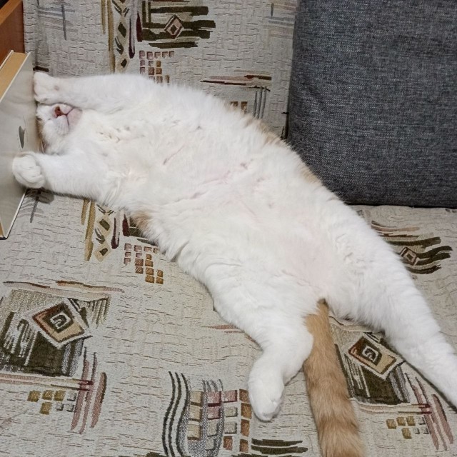 Котское.