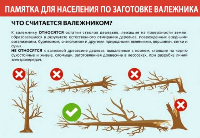 А если электричество вдруг отключат?