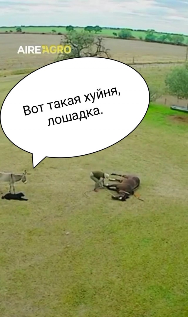 *БАЯН*Всё допрыгался