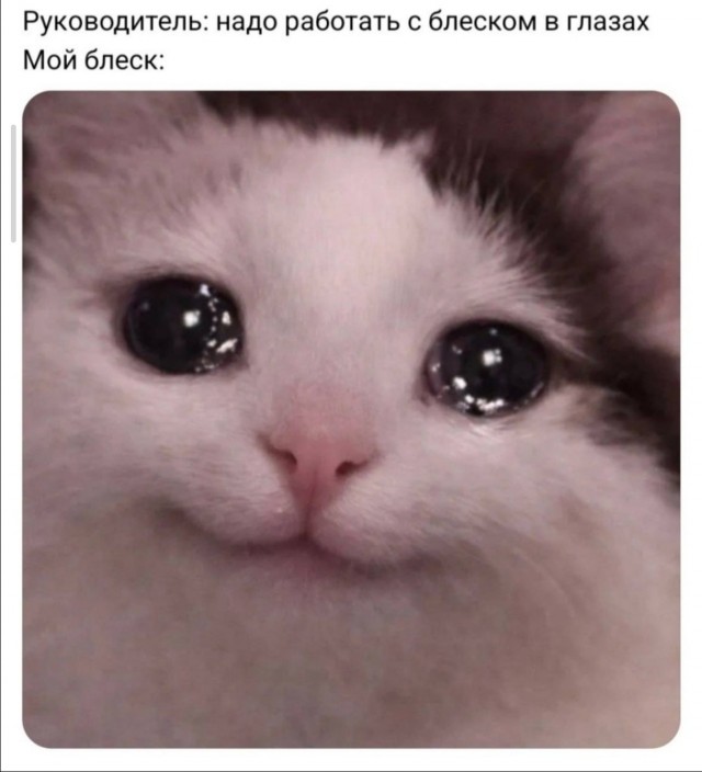 Деградинки