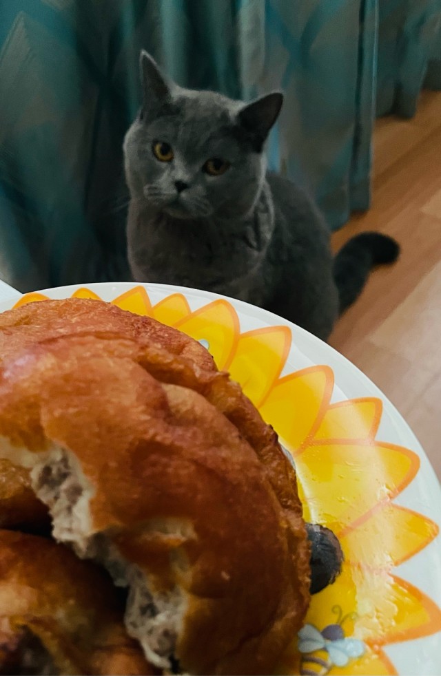 К-котовторник