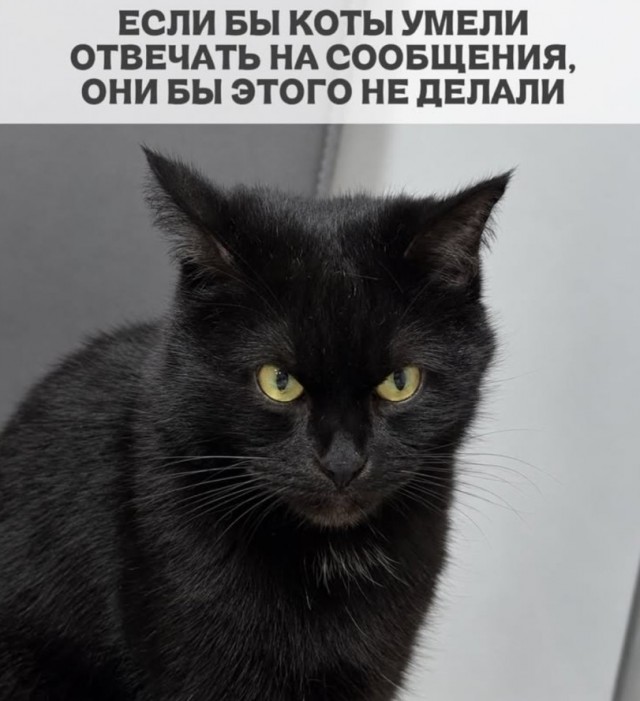 Картинки всякие разные невпопад 1.6