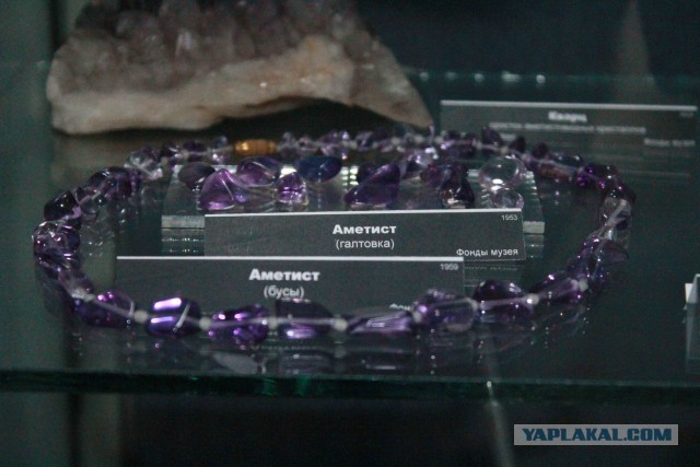 Музей шедевров природы