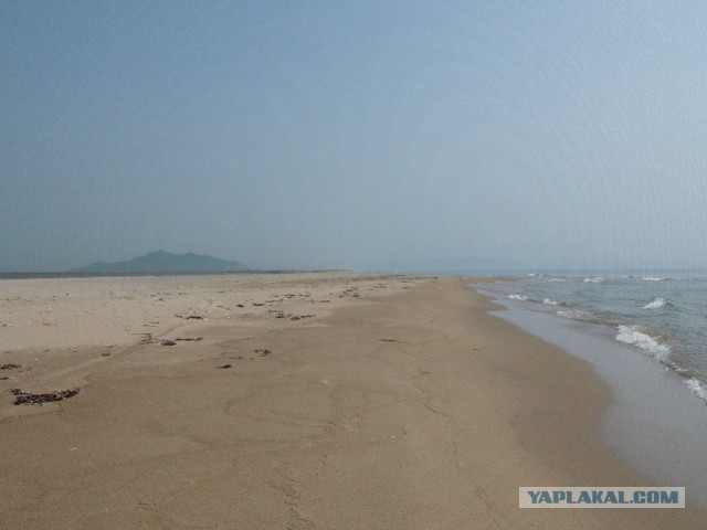 Природа Приморского края