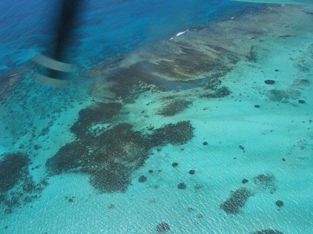 Как я съездил на Сейшелы