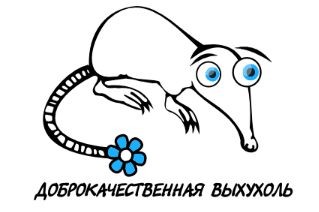 Классификация выхухолей