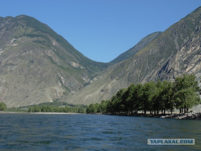 Алтай