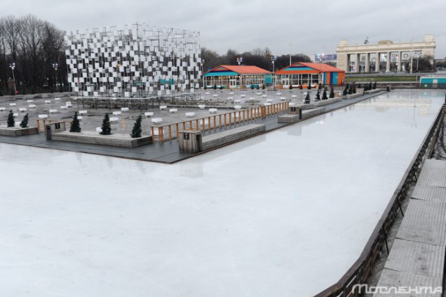 Последствия аномально теплой погоды в Москве
